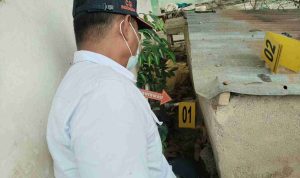 IMG-20261015-WA0028 (1)